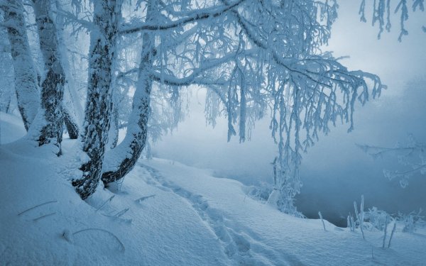 метель зимой