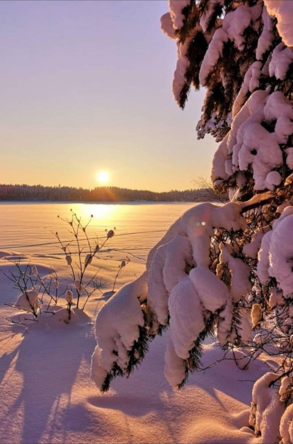 чудеса зимней природы