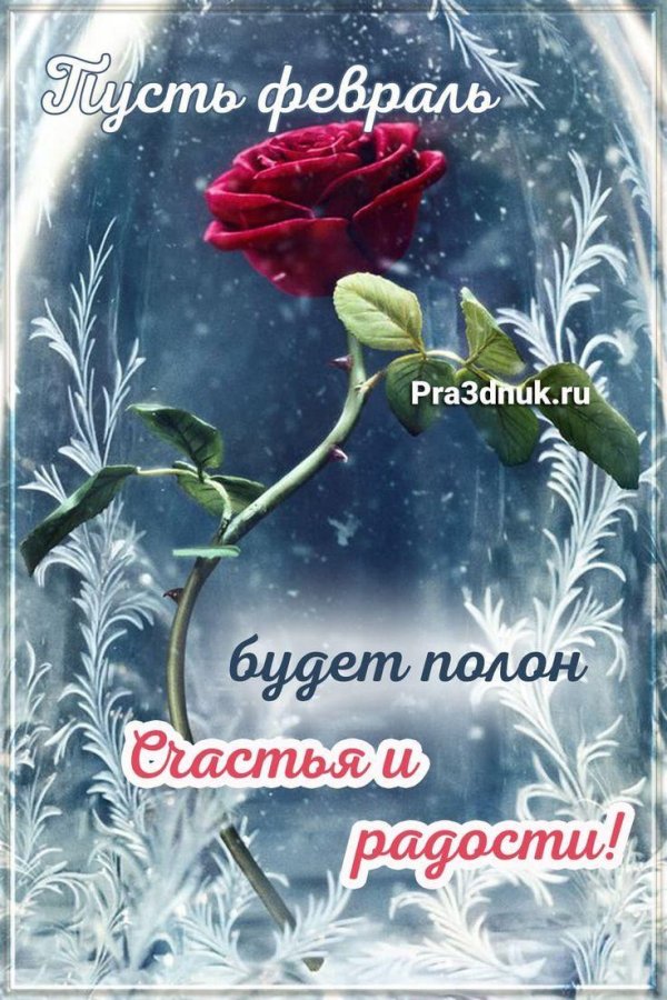 ледяная роза