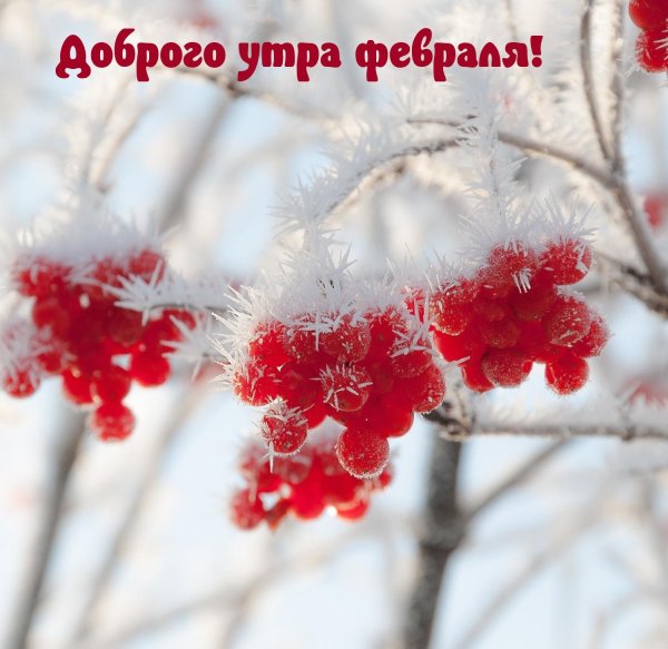 доброго утра зимнего