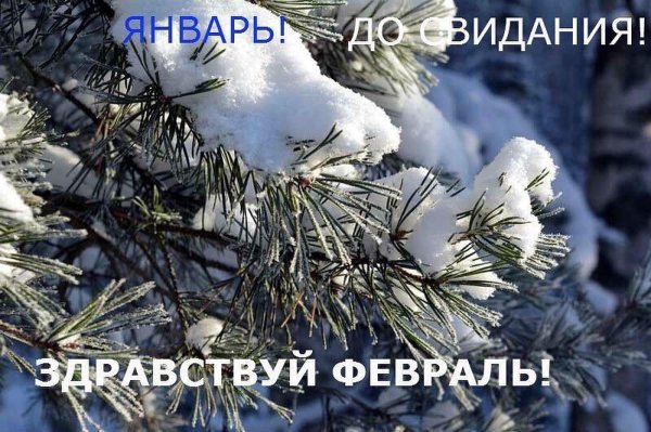 здравствуй февраль