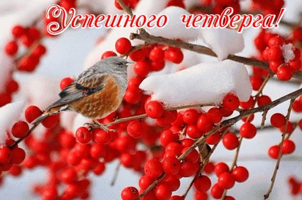 доброго зимнего четверга