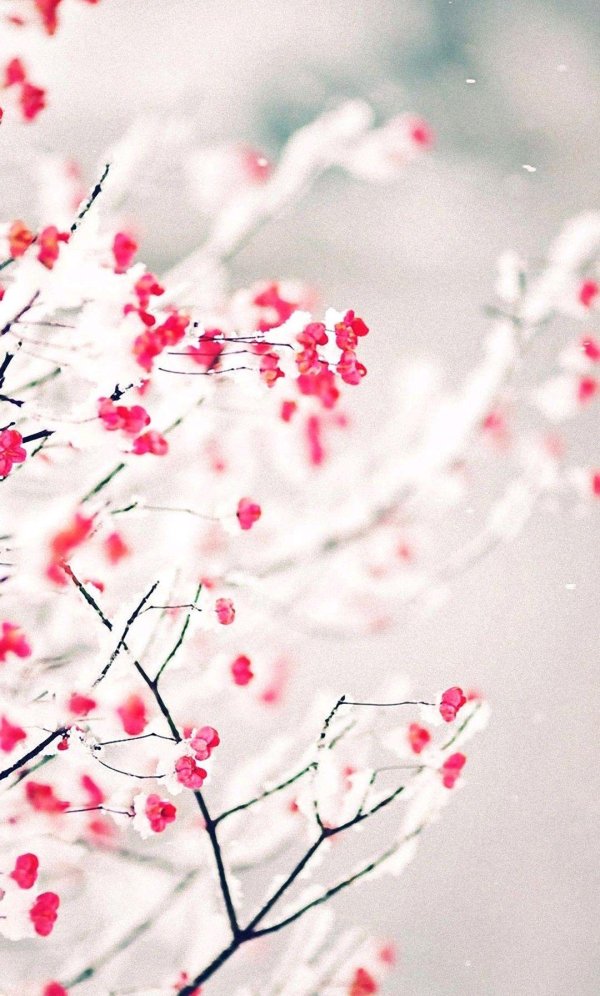 красивый фон зимний