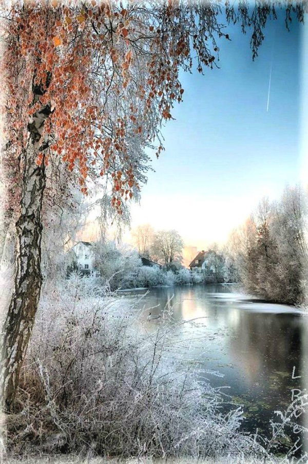 зимний пейзаж красивый