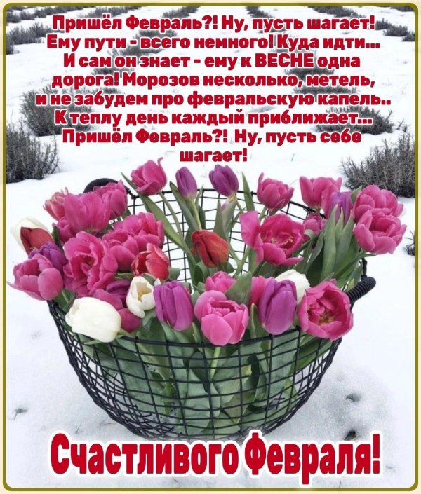 доброго февральского утра