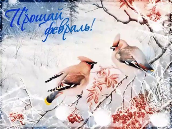 прощай февраль
