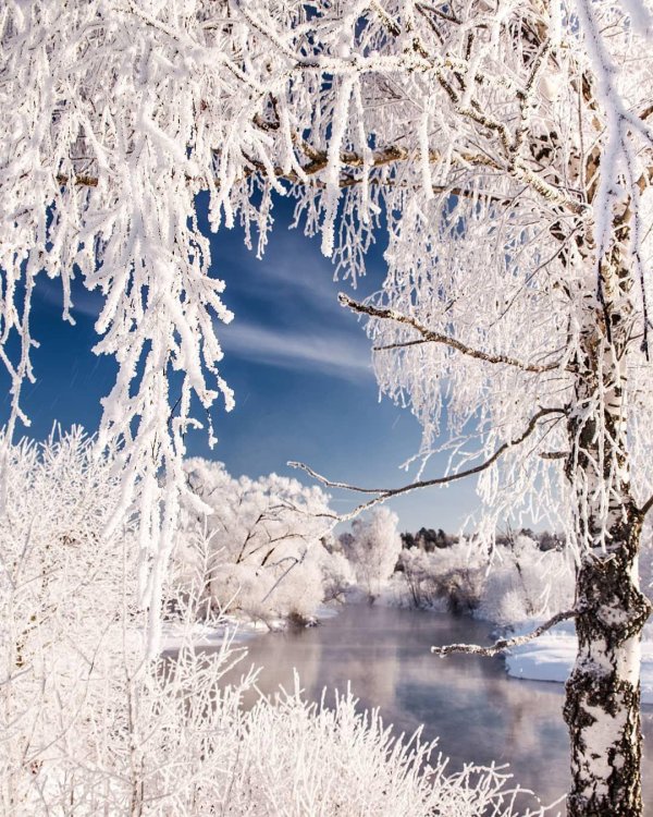 природа зимняя