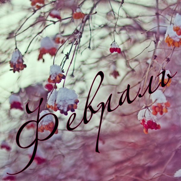 февраль надпись