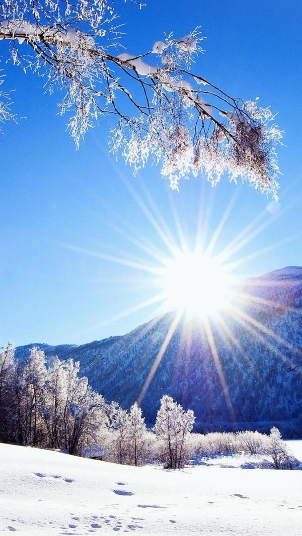 солнечного зимнего дня