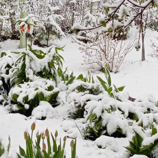 весенние пейзажи