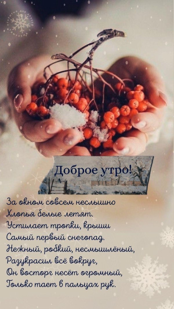 ноябрьское утро доброе