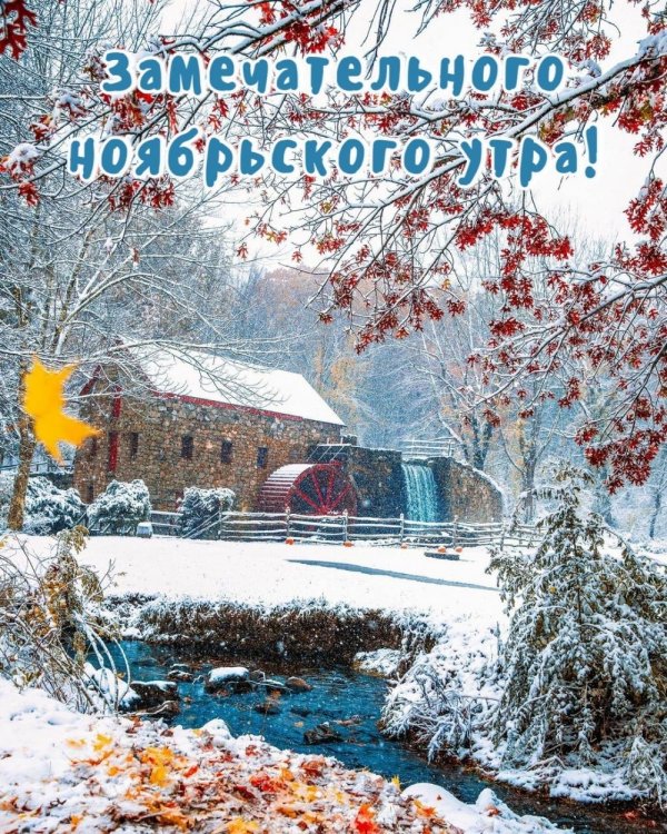 ноябрьского утра