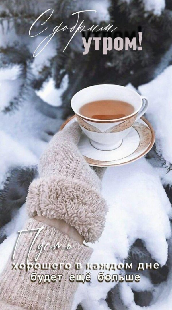 открытки со снежным утром