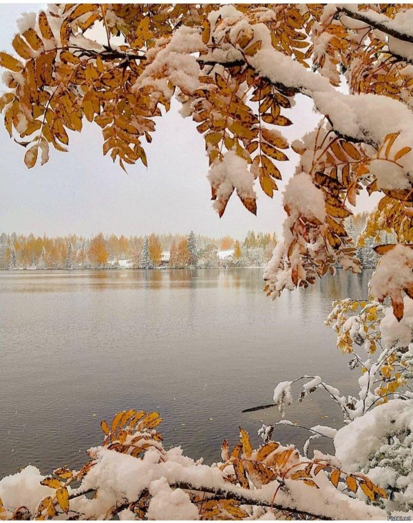 поздняя осень