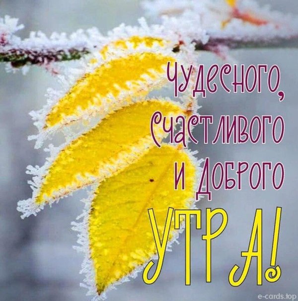 доброго ноябрьского утра