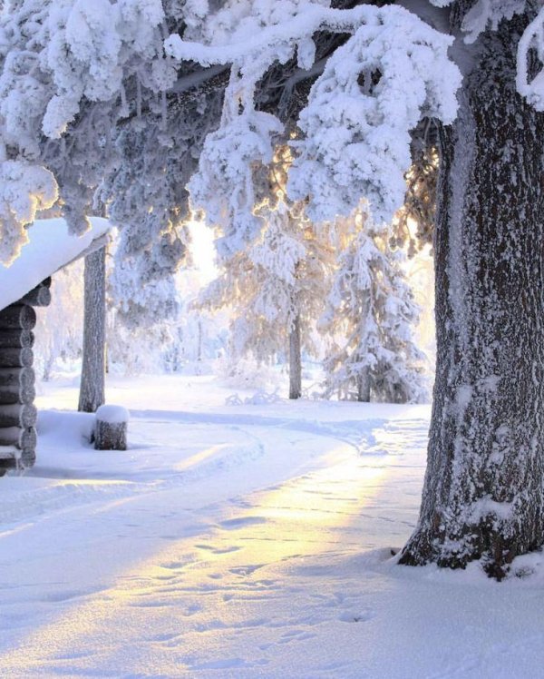 зимние пейзаж