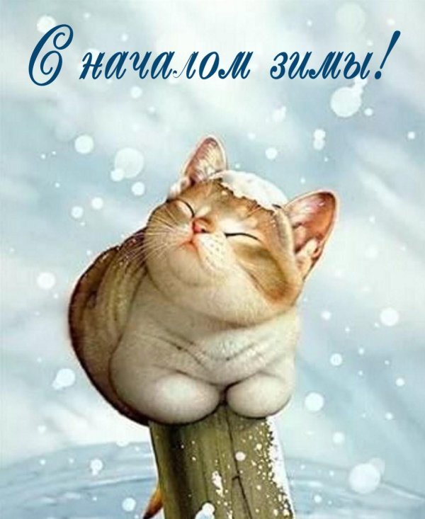 макото мурамацу