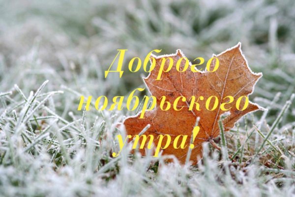 ожидаются заморозки