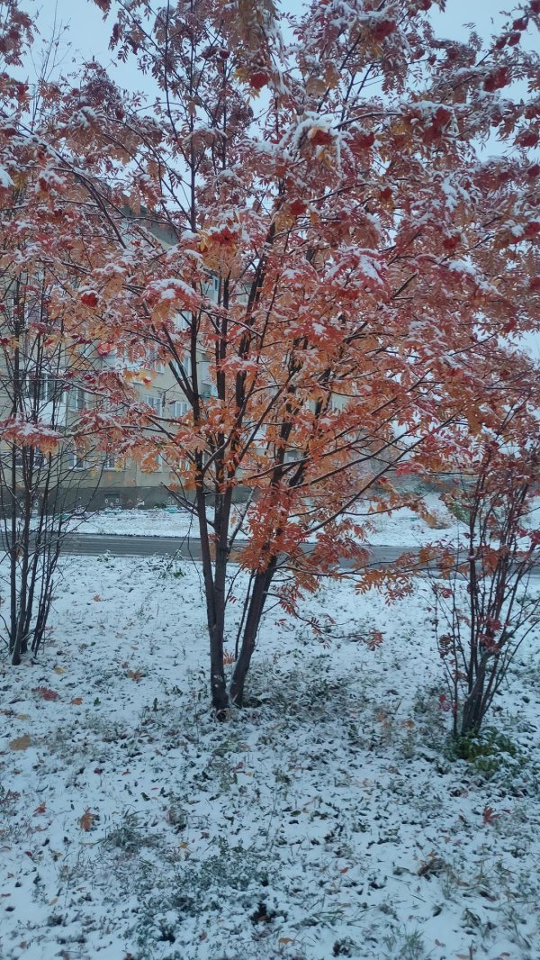 снег осенью