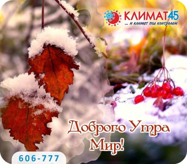 первый снег