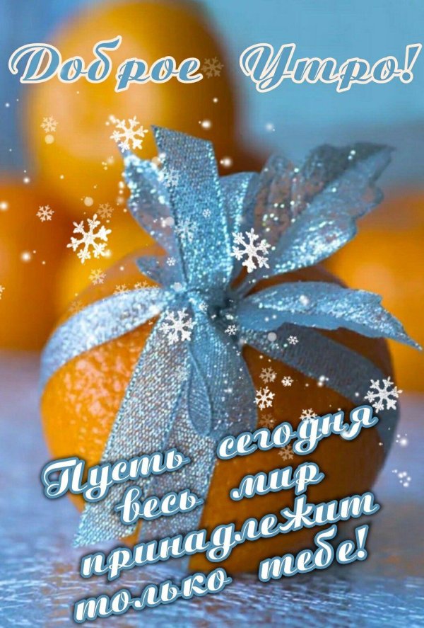 доброе утро мандарины