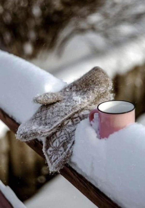 теплая зима