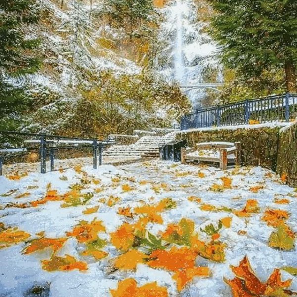 ранняя зима