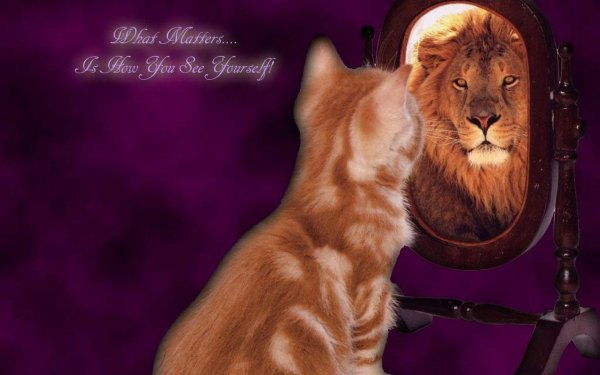 котенок смотрит в зеркало и видит льва