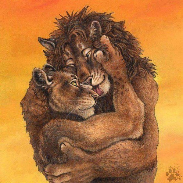 король лев львица обнимает