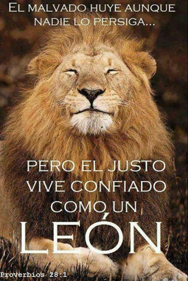 улыбающийся лев