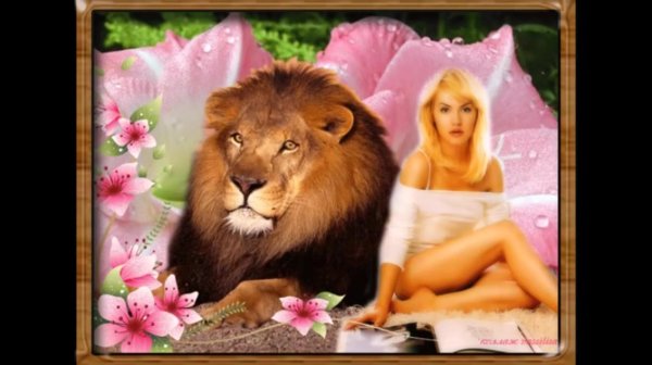 открытка со львом