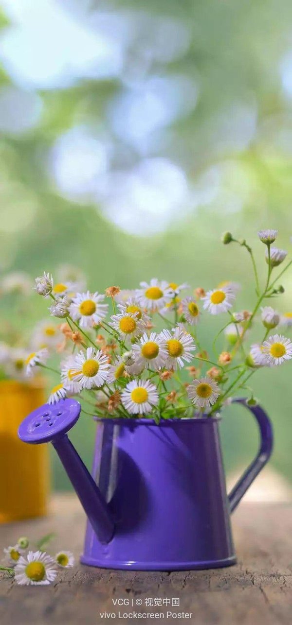 доброго утра летнего