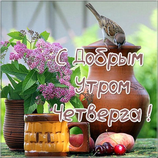 с добрым утром понедельника