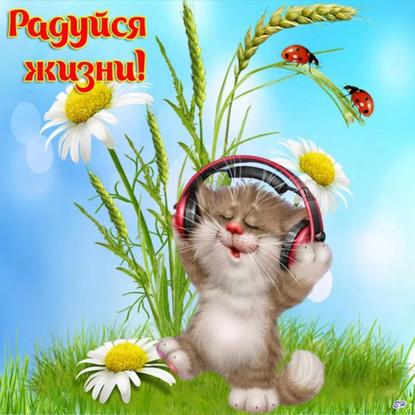 открытки и пожелания