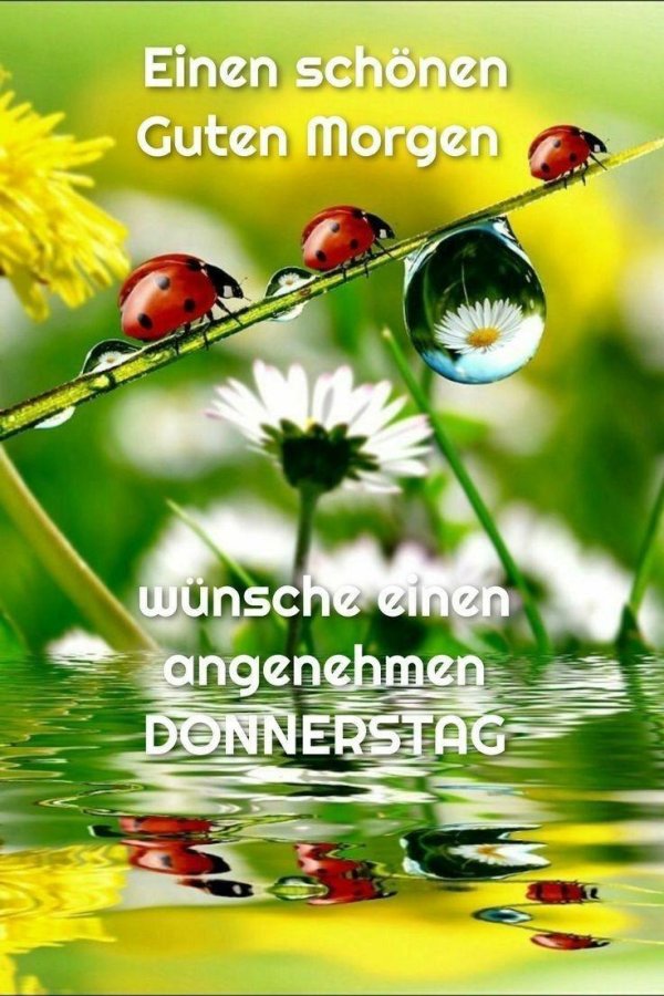 красивое лето