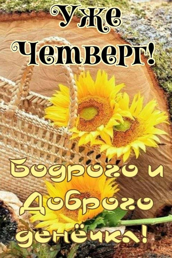 утро четверг