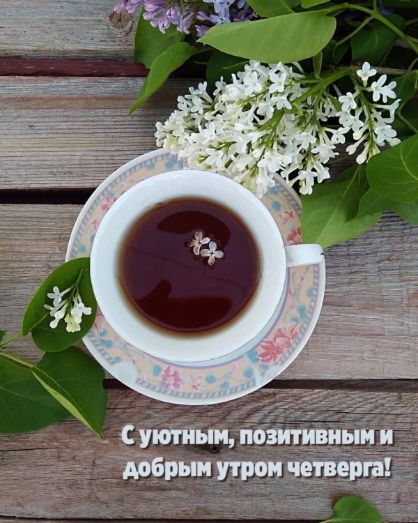 пожелания доброго утра