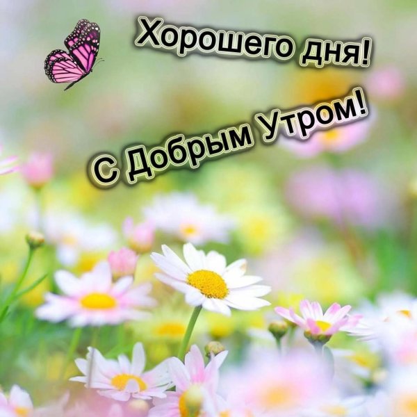 с добрым летним утречком и отличным днем