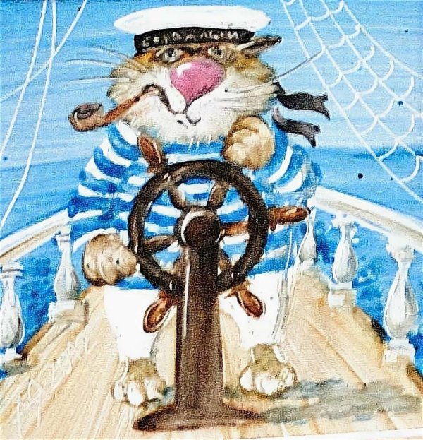 кот моряк