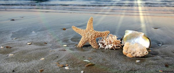 пляж морской