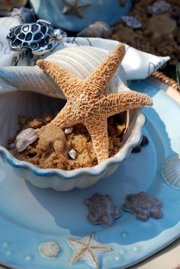 морская звезда