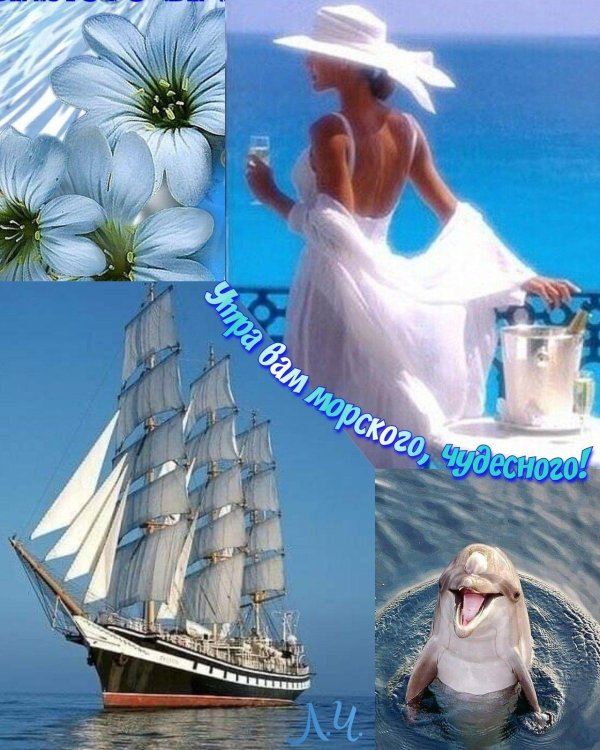 паллада парусник