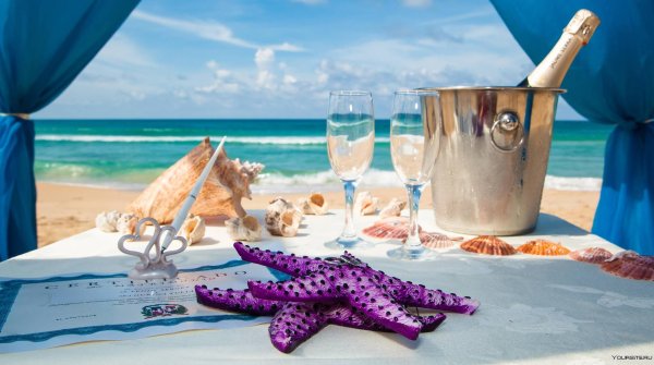 шампанское на пляже