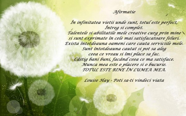 белые одуванчики