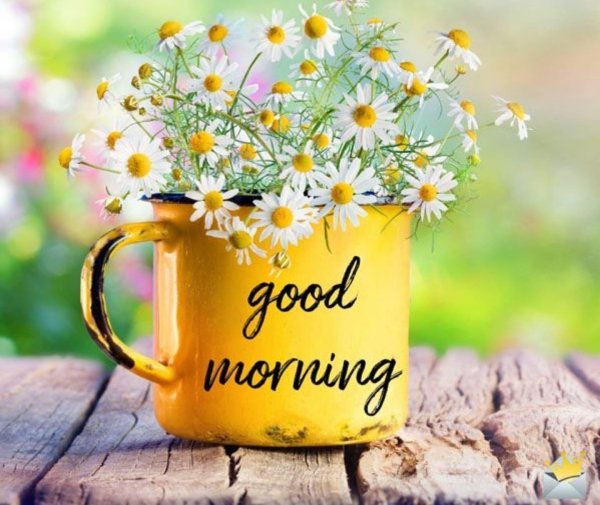 доброго солнечного утра