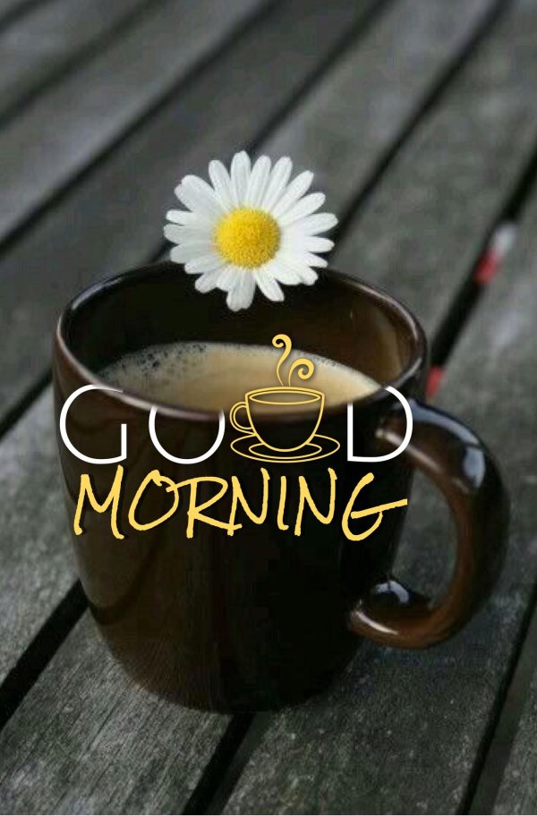 чашка кофе и ромашки