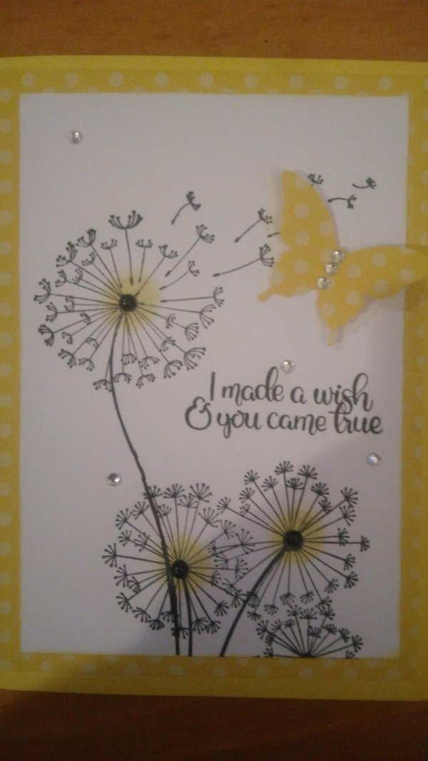 dandelion wish