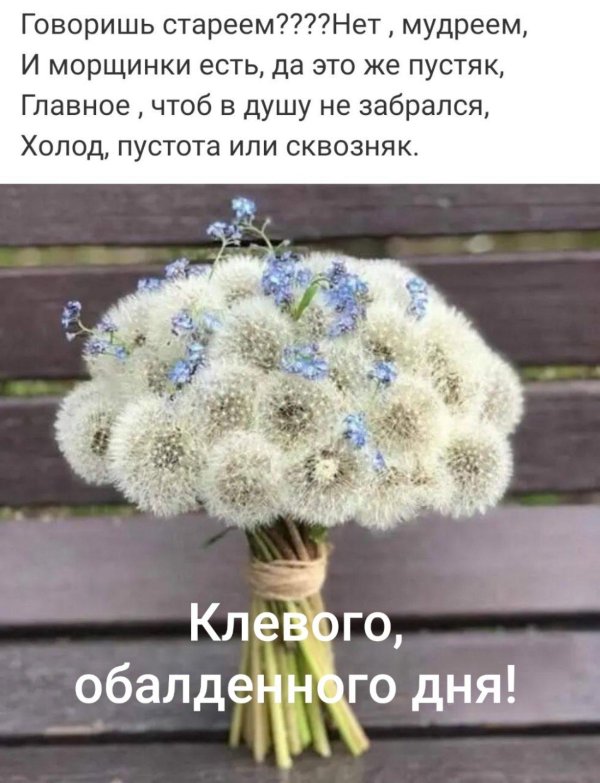 полевой букет