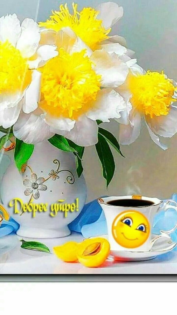 доброго солнечного утра