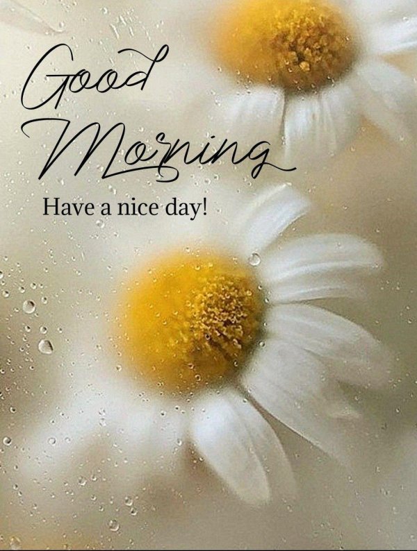 добра утра